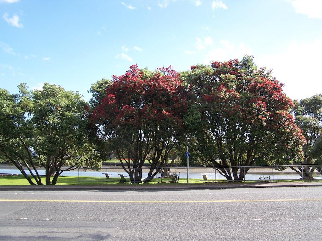 Kauri Nest Bed & Breakfast Whangarei Luaran gambar