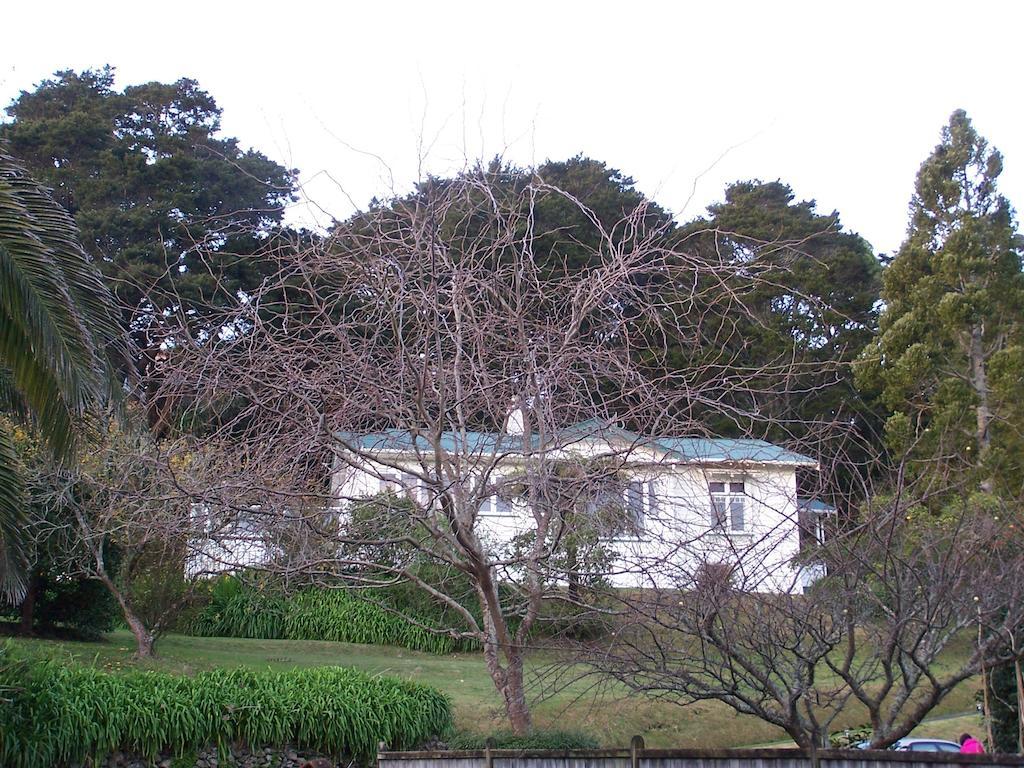 Kauri Nest Bed & Breakfast Whangarei Luaran gambar
