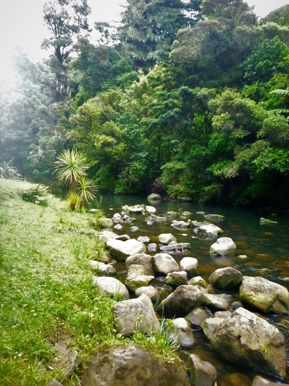 Kauri Nest Bed & Breakfast Whangarei Luaran gambar