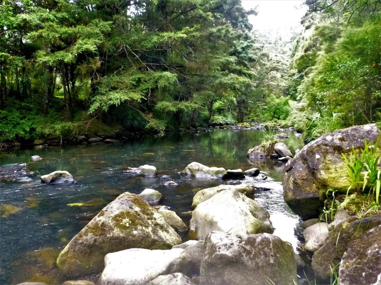 Kauri Nest Bed & Breakfast Whangarei Luaran gambar