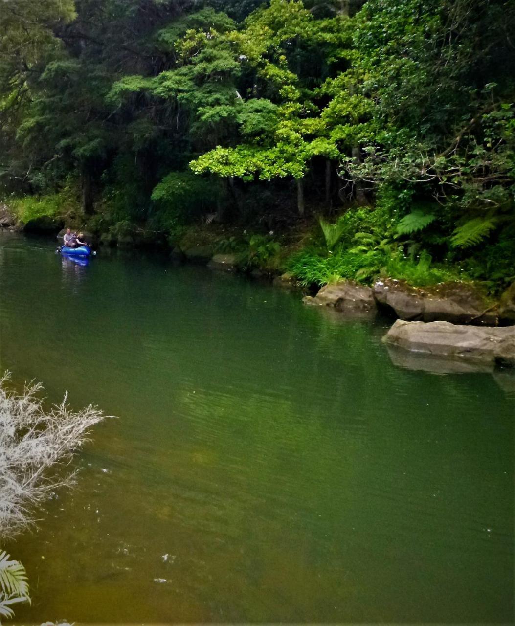 Kauri Nest Bed & Breakfast Whangarei Luaran gambar
