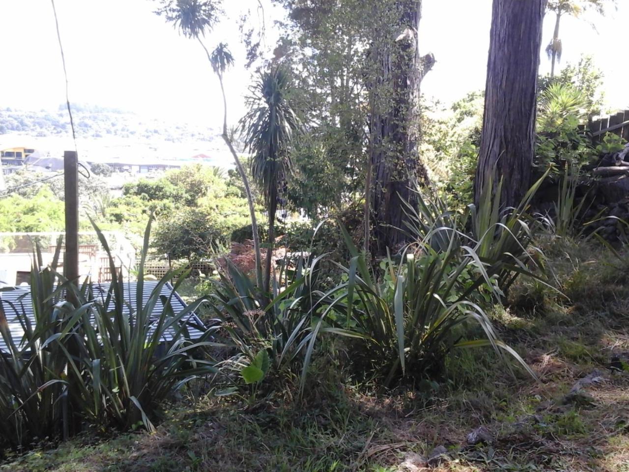 Kauri Nest Bed & Breakfast Whangarei Luaran gambar
