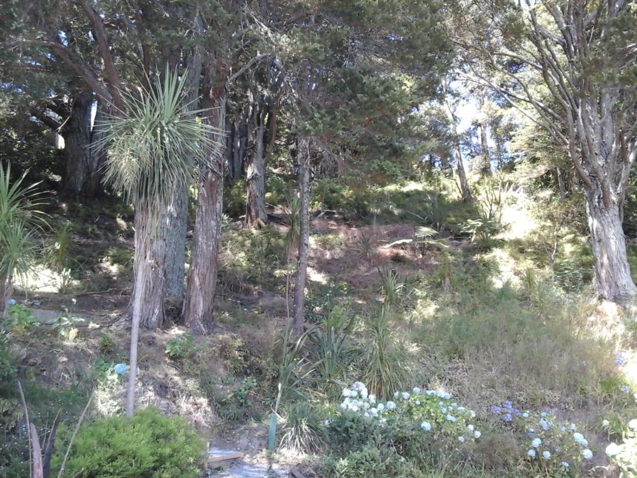 Kauri Nest Bed & Breakfast Whangarei Luaran gambar