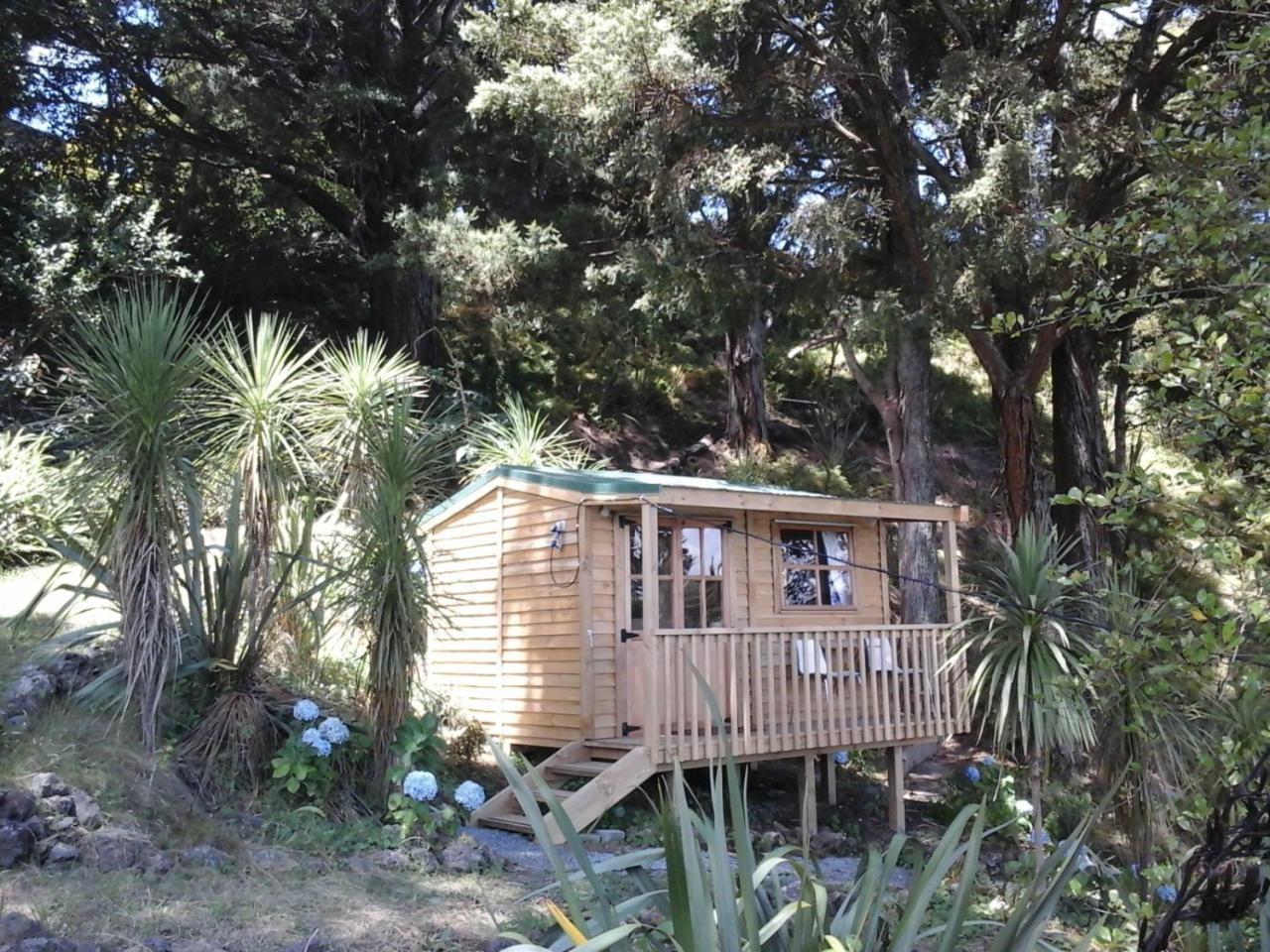 Kauri Nest Bed & Breakfast Whangarei Luaran gambar