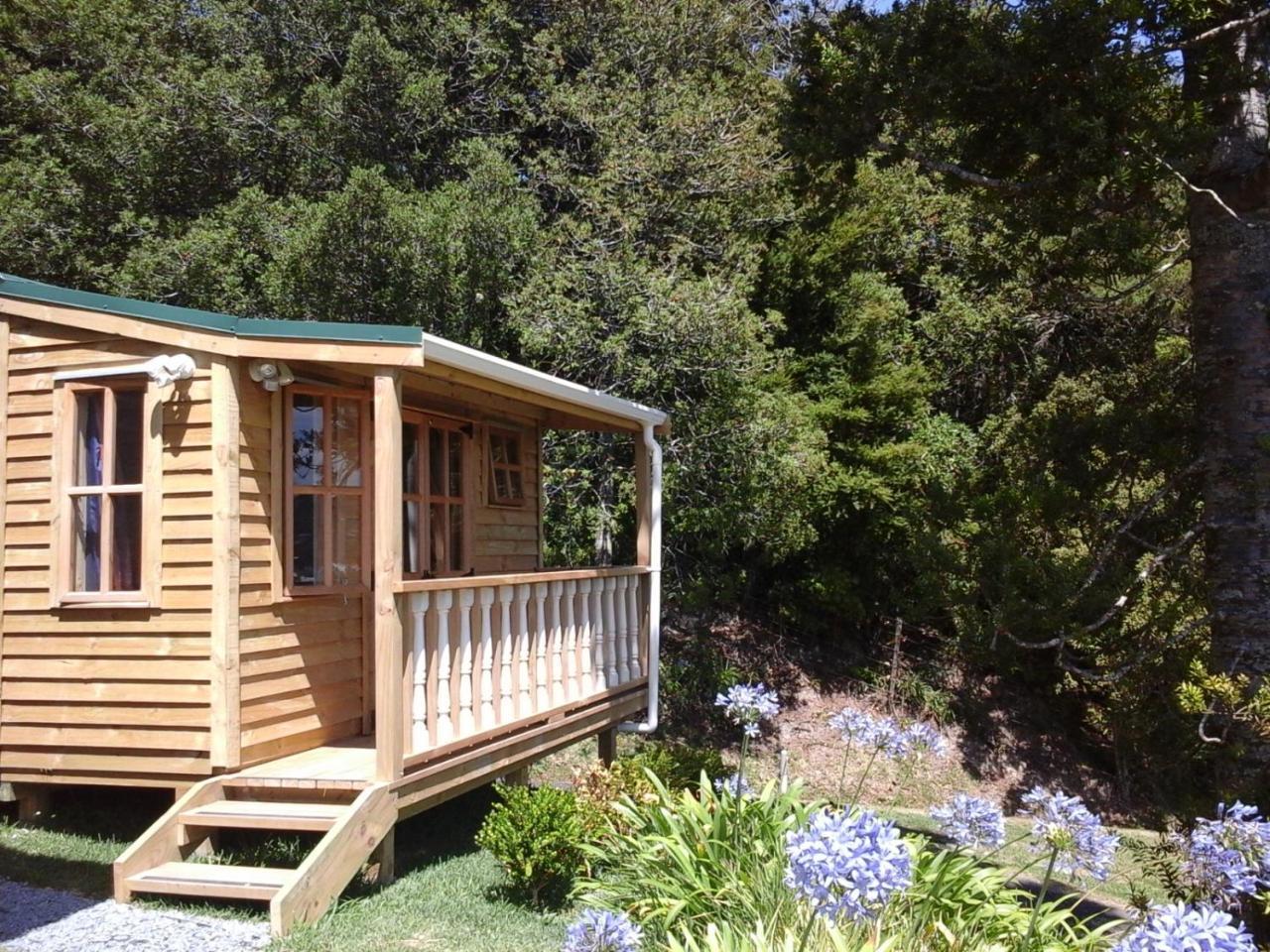 Kauri Nest Bed & Breakfast Whangarei Luaran gambar